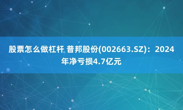 股票怎么做杠杆 普邦股份(002663.SZ)：2024年净亏损4.7亿元