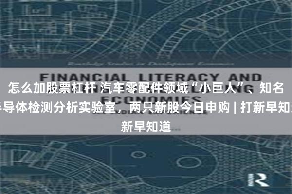 怎么加股票杠杆 汽车零配件领域“小巨人”、知名半导体检测分析实验室，两只新股今日申购 | 打新早知道