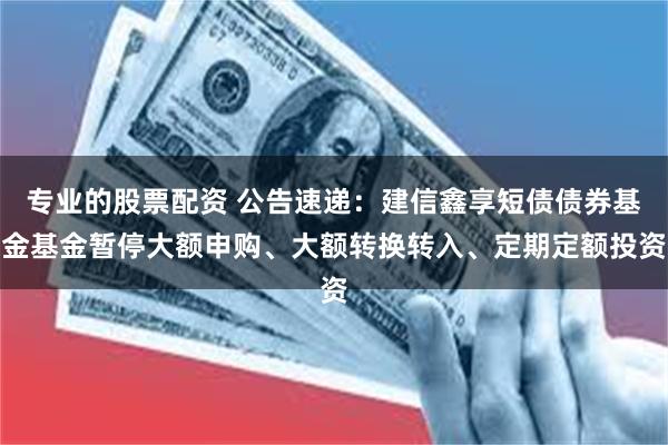 专业的股票配资 公告速递：建信鑫享短债债券基金基金暂停大额申购、大额转换转入、定期定额投资