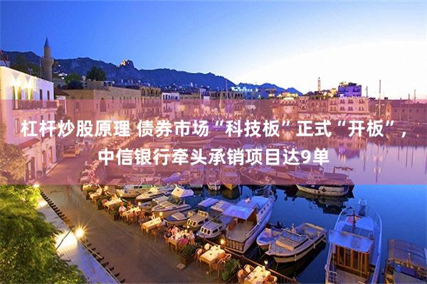 杠杆炒股原理 债券市场“科技板”正式“开板”，中信银行牵头承销项目达9单