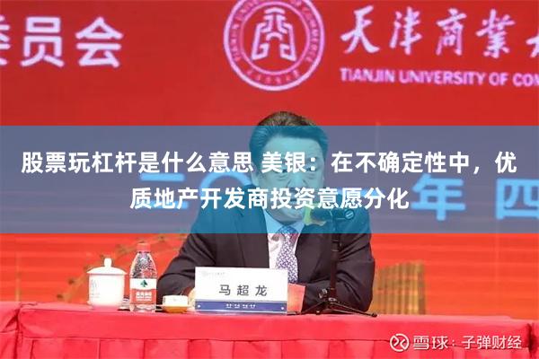 股票玩杠杆是什么意思 美银：在不确定性中，优质地产开发商投资意愿分化
