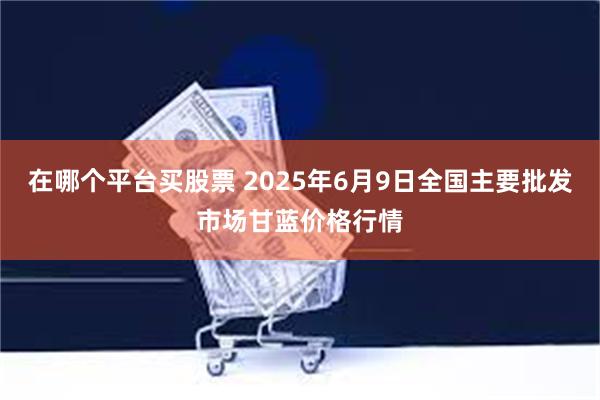 在哪个平台买股票 2025年6月9日全国主要批发市场甘蓝价格行情