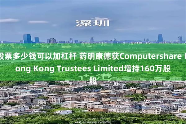 股票多少钱可以加杠杆 药明康德获Computershare Hong Kong Trustees Limited增持160万股