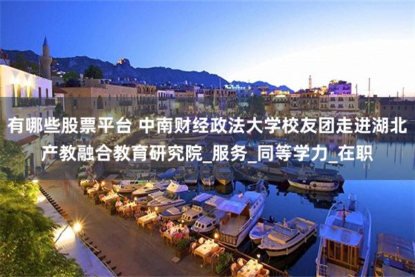 有哪些股票平台 中南财经政法大学校友团走进湖北产教融合教育研究院_服务_同等学力_在职